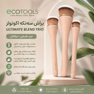 براش 3 تیکه ecotools