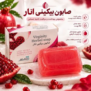 صابون بیکینی انار Nice Fresh