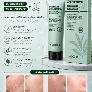 فیس واش ضد جوش چای 84088 SADOER